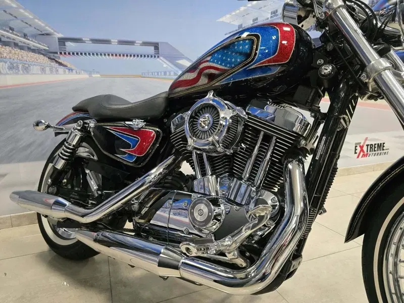 Harley-Davidson 1200 Custom (2004 - 06) - XL 1200C (15)