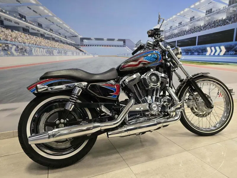 Harley-Davidson 1200 Custom (2004 - 06) - XL 1200C (19)