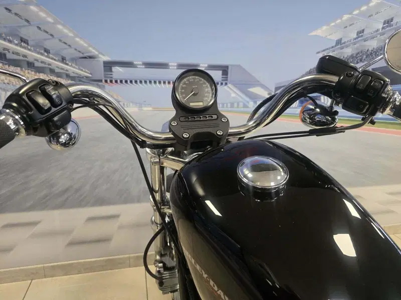 Harley-Davidson 883 Low (2006 - 07) - XL 883L (7)
