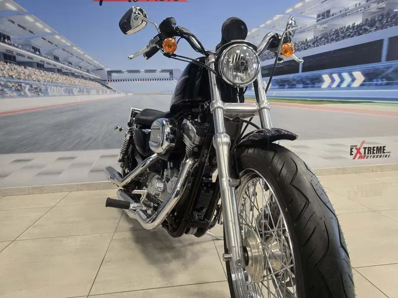 Harley-Davidson 883 Low (2006 - 07) - XL 883L (12)