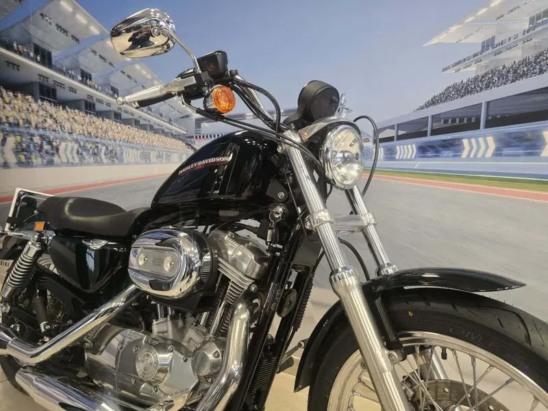 Harley-Davidson 883 Low (2006 - 07) - XL 883L (14)