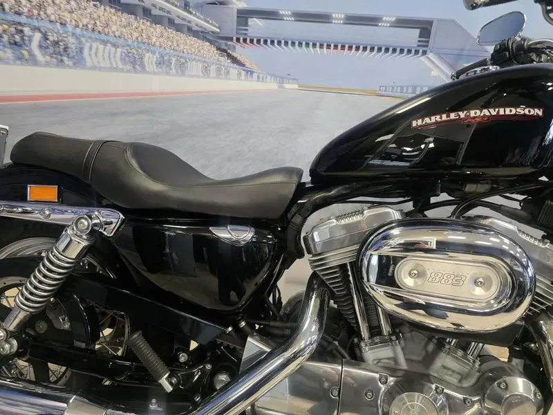 Harley-Davidson 883 Low (2006 - 07) - XL 883L (16)