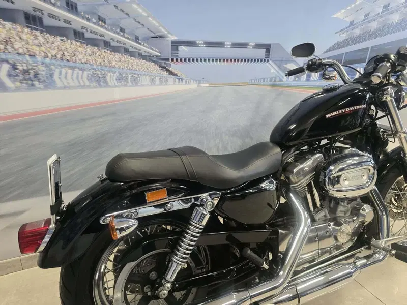 Harley-Davidson 883 Low (2006 - 07) - XL 883L (18)