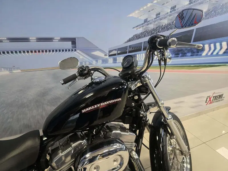 Harley-Davidson 883 Low (2006 - 07) - XL 883L (19)