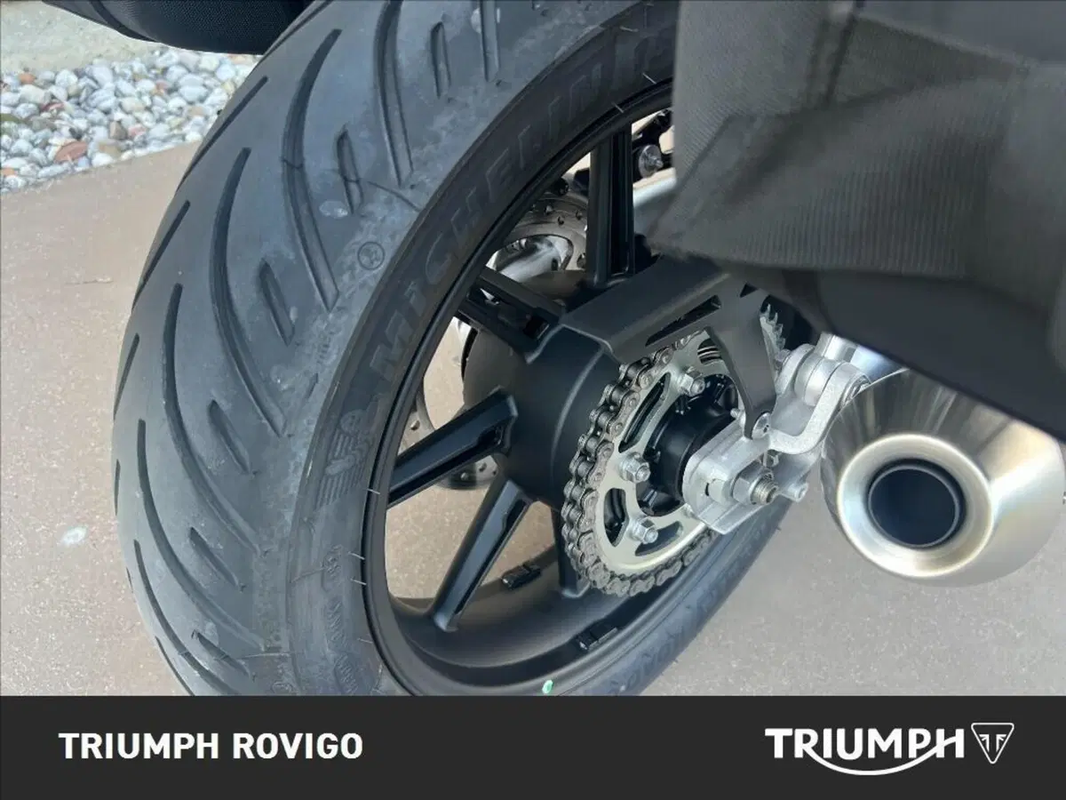 Triumph Speed Twin 900 (2025 - 26) (7)