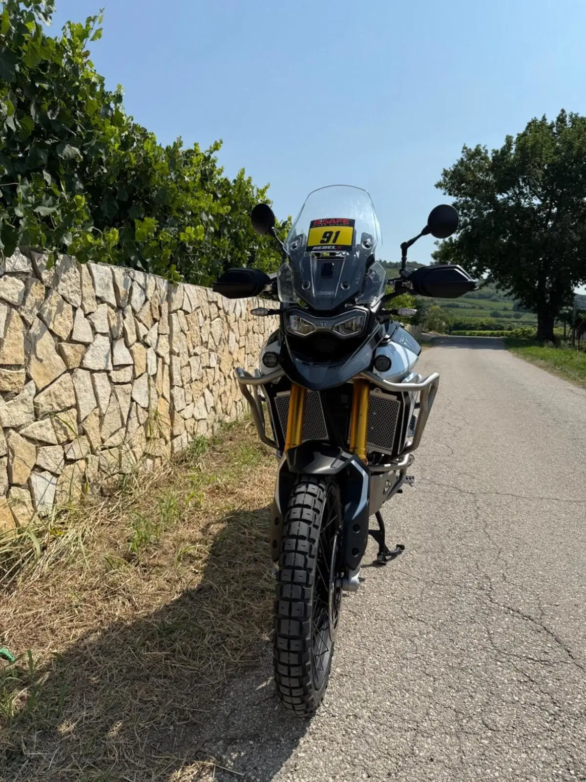 Triumph Tiger 900 Rally Pro (2024 - 26) (3)