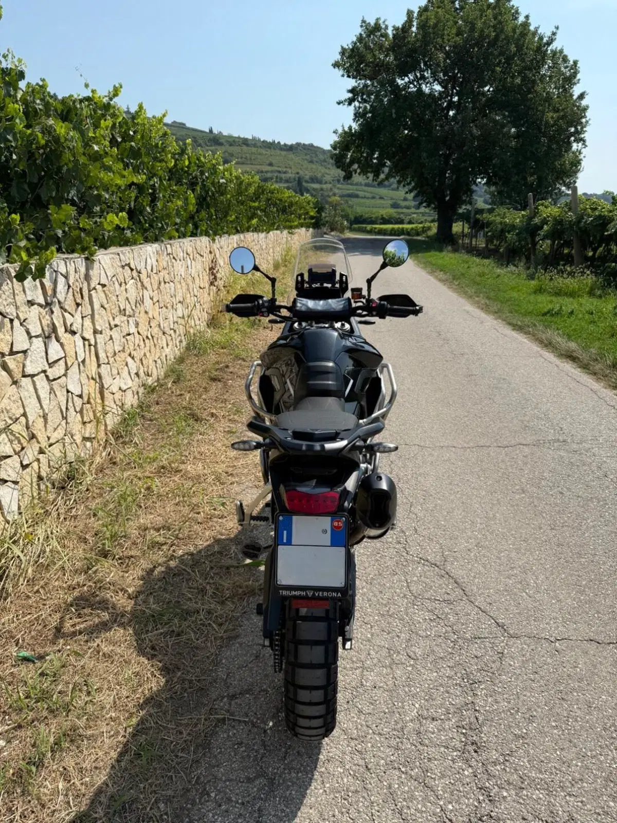 Triumph Tiger 900 Rally Pro (2024 - 26) (4)