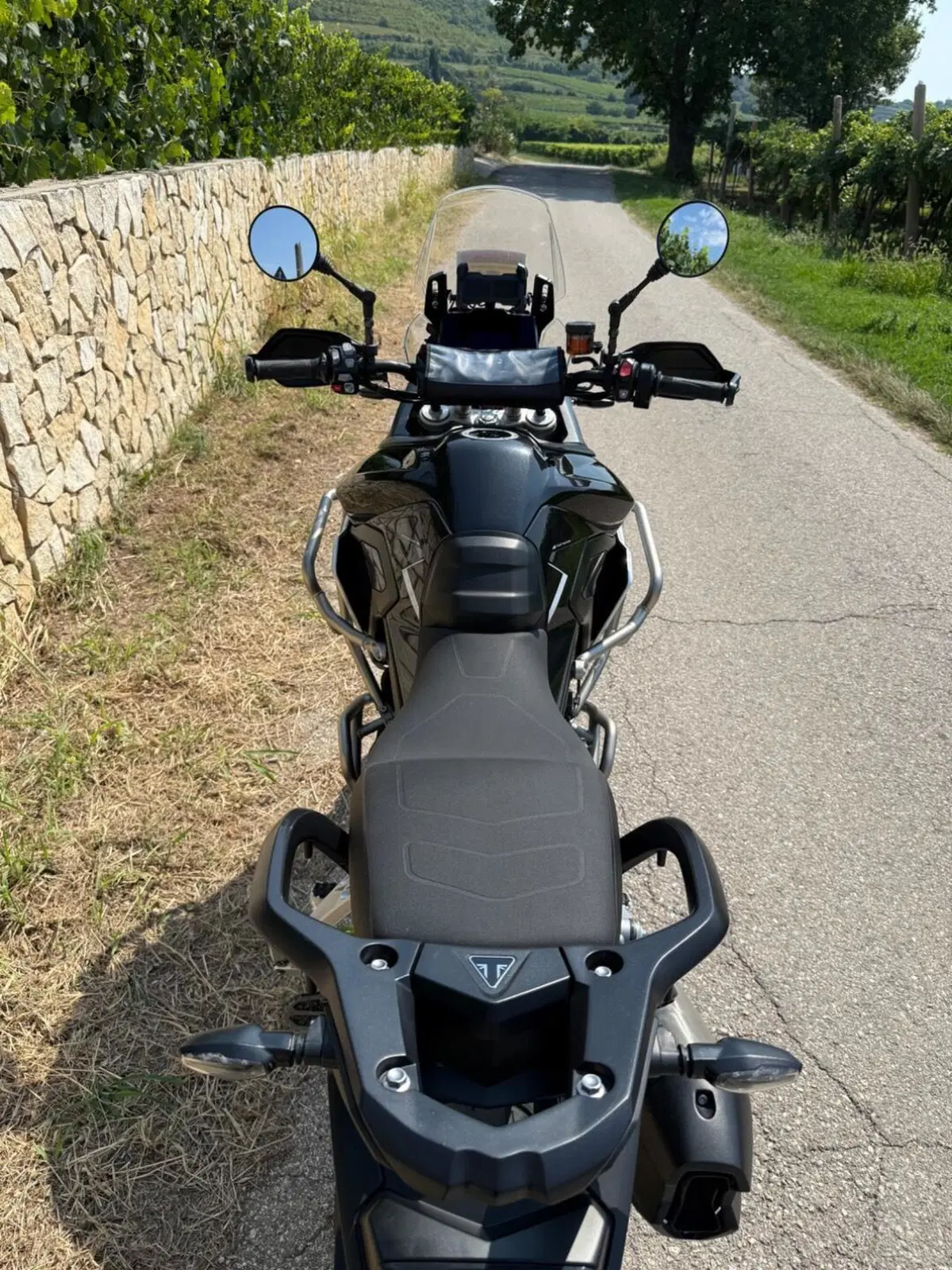 Triumph Tiger 900 Rally Pro (2024 - 26) (6)
