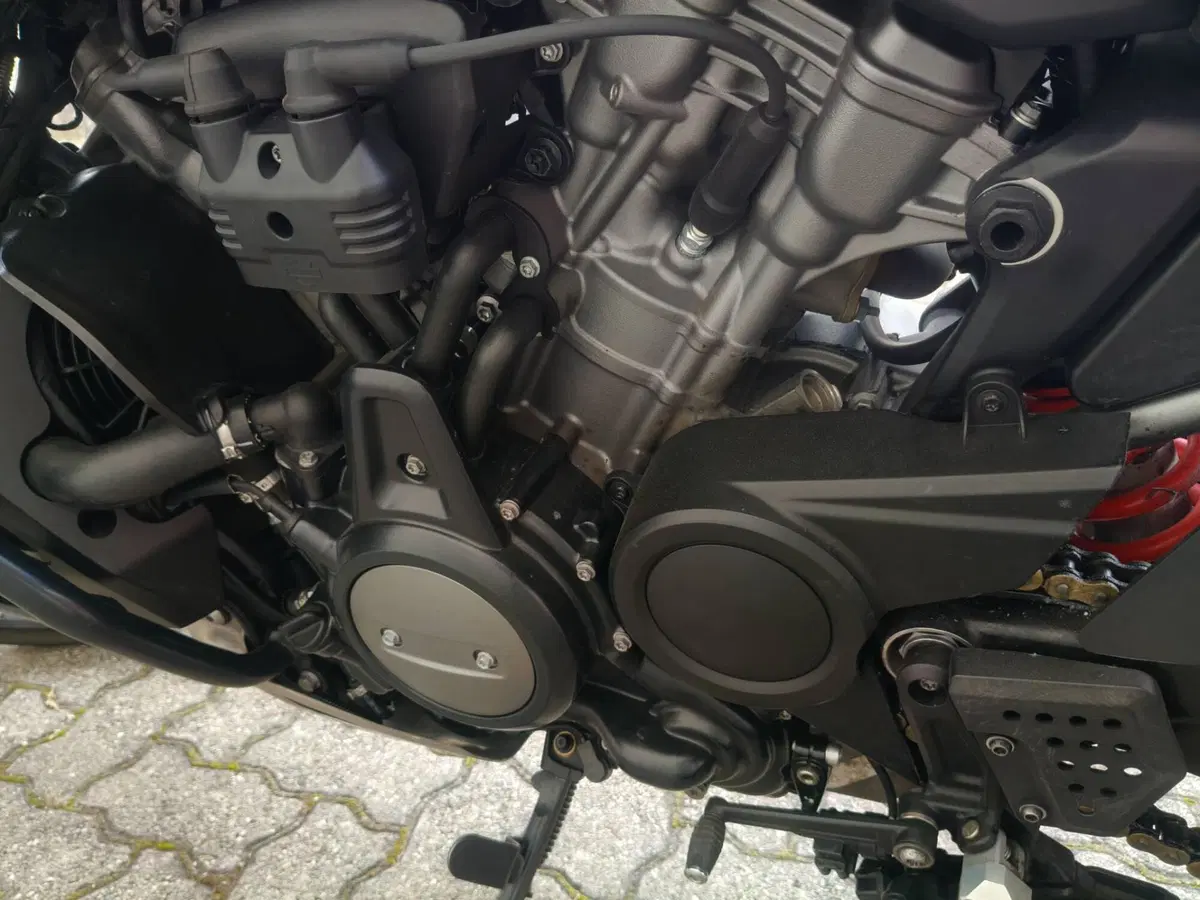 Harley-Davidson Pan America 1250 Special (2020 - 25) (7)