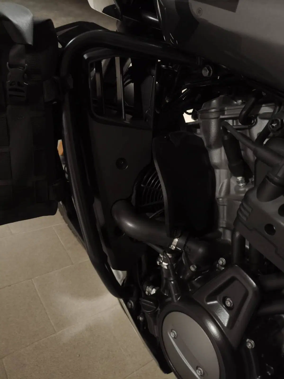 Harley-Davidson Pan America 1250 Special (2020 - 25) (5)