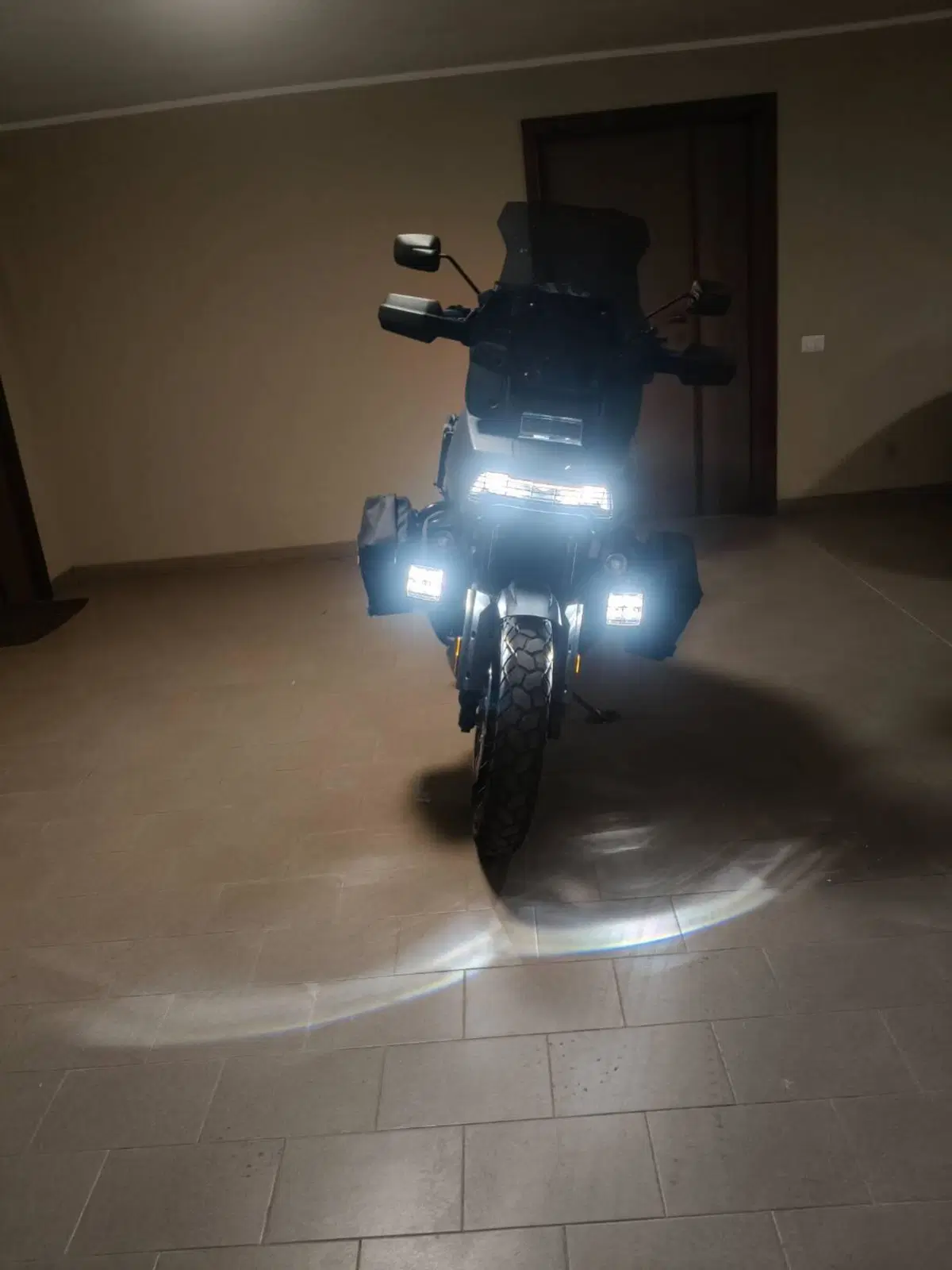 Harley-Davidson Pan America 1250 Special (2020 - 25) (3)