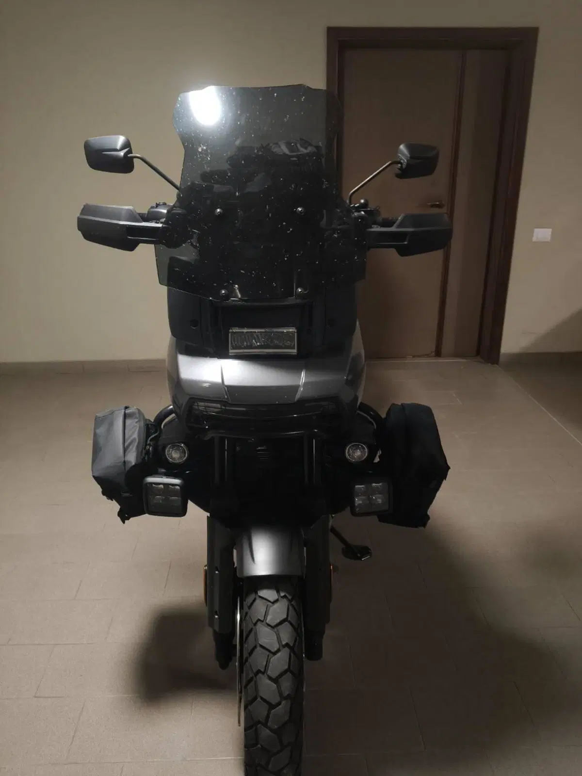 Harley-Davidson Pan America 1250 Special (2020 - 25) (14)