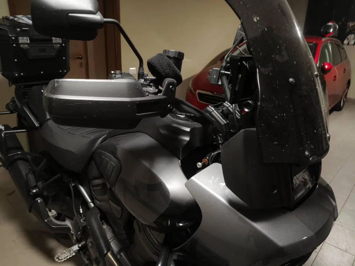 Harley-Davidson Pan America 1250 Special (2020 - 25) (18)
