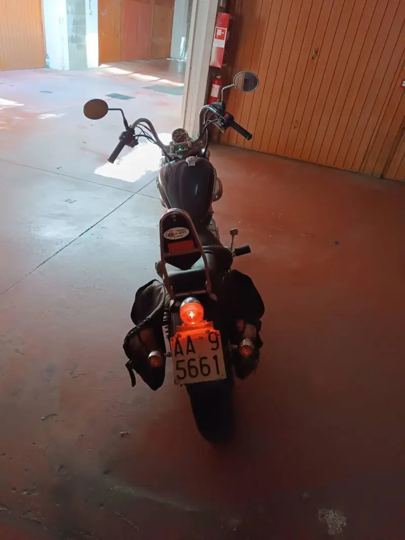 Yamaha XV 250 S Virago (1994 - 01) (4)