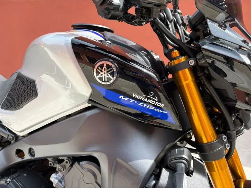 Yamaha MT-09 (2021 - 23) (2)
