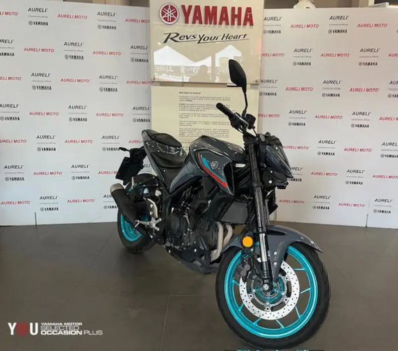 Yamaha MT-03 (2022 - 24) (2)