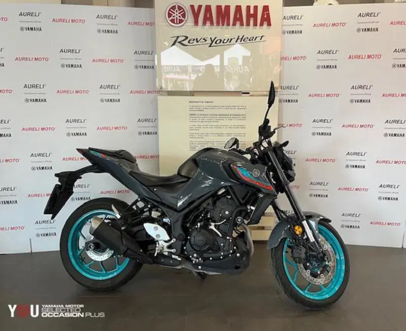 Yamaha MT-03 (2022 - 24) (4)
