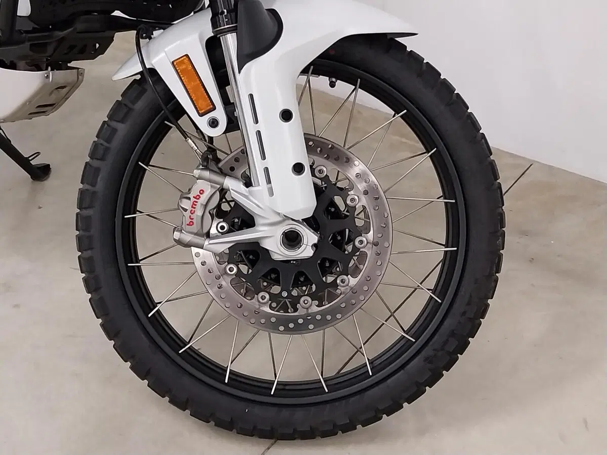 Ducati DesertX (2022 - 25) (11)