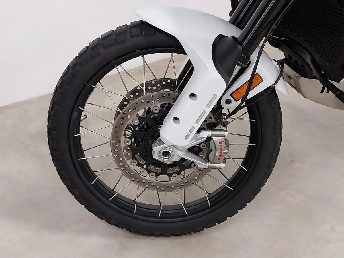 Ducati DesertX (2022 - 25) (12)