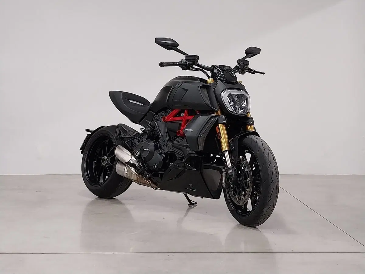 Ducati Diavel 1260 S (2019 - 20) (6)
