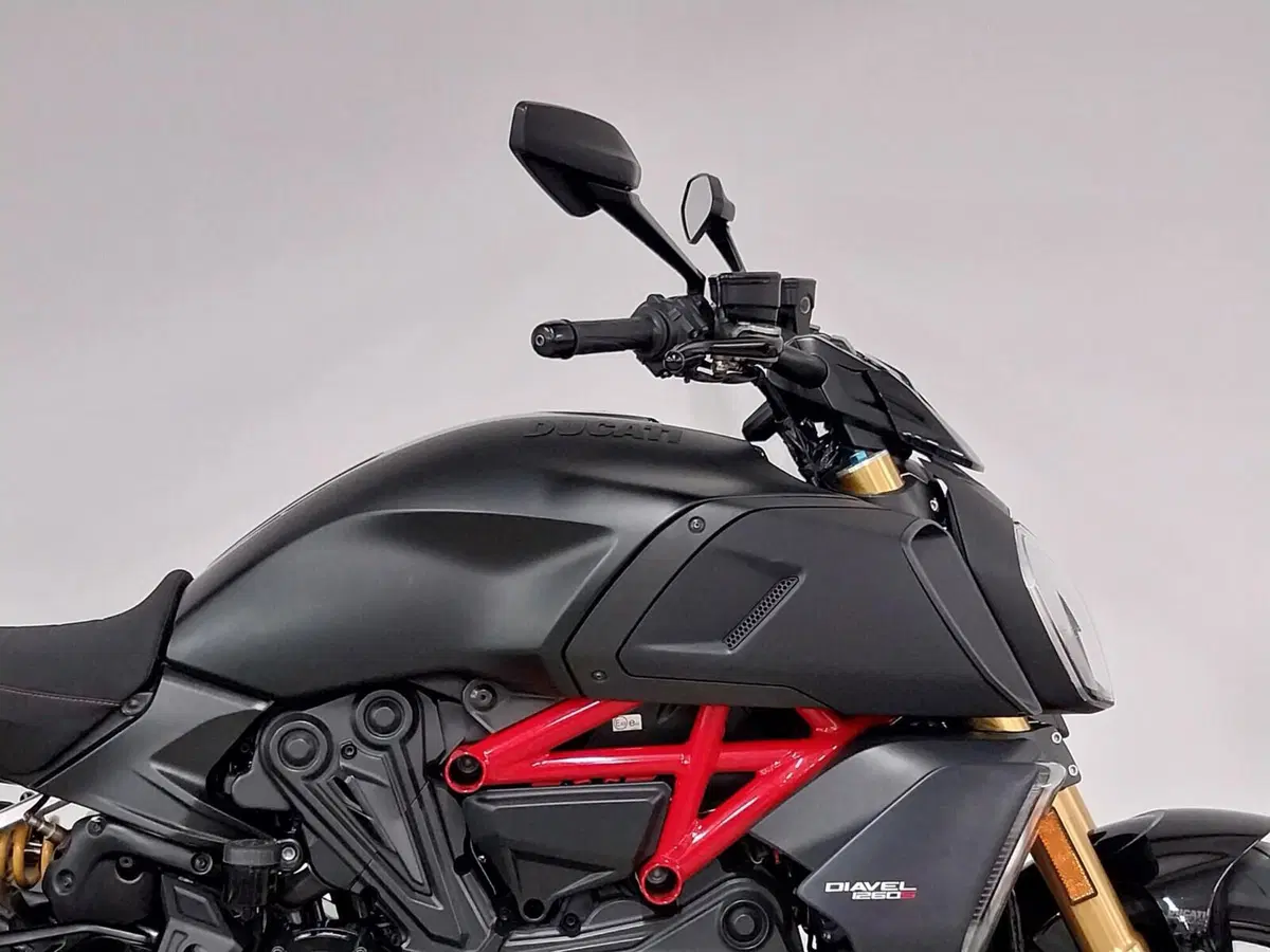 Ducati Diavel 1260 S (2019 - 20) (8)