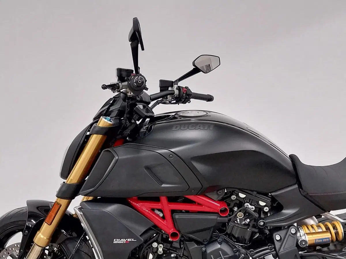 Ducati Diavel 1260 S (2019 - 20) (9)