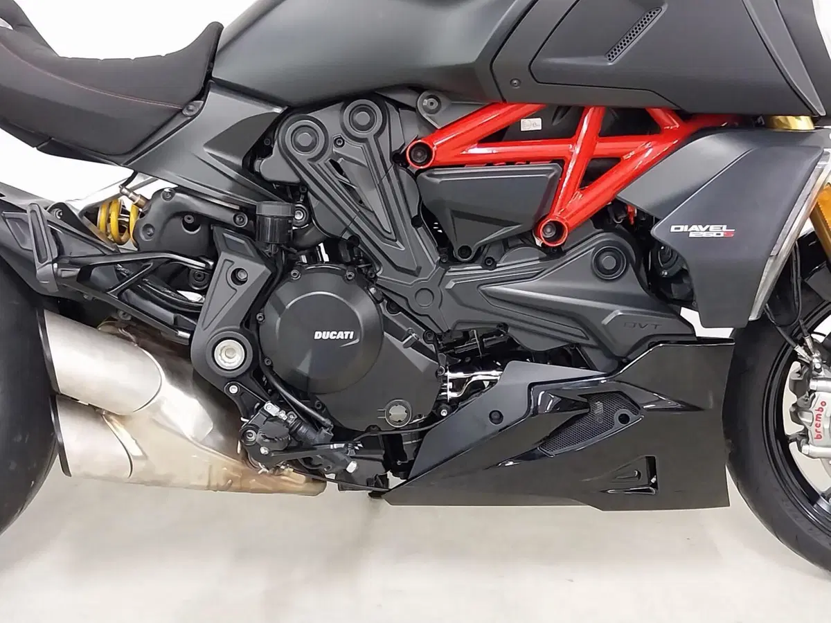 Ducati Diavel 1260 S (2019 - 20) (12)