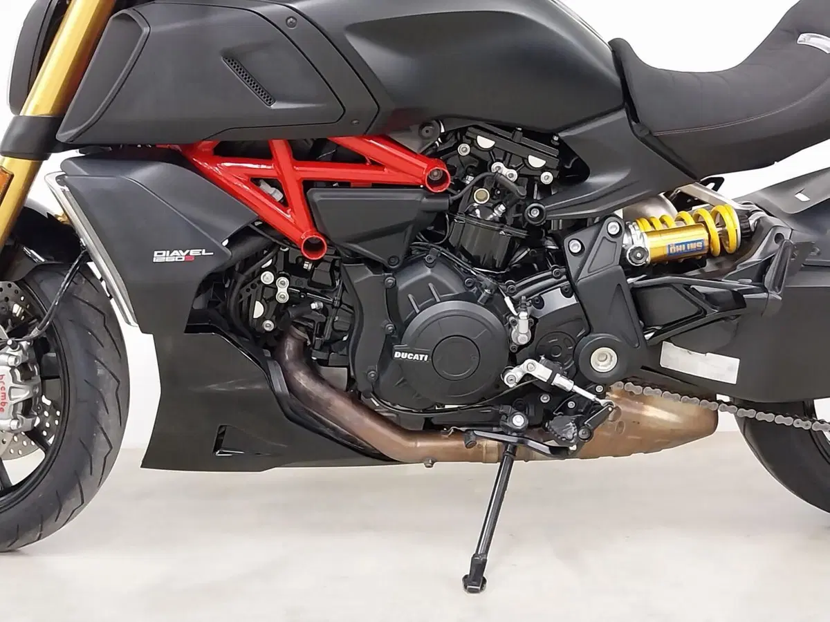 Ducati Diavel 1260 S (2019 - 20) (15)