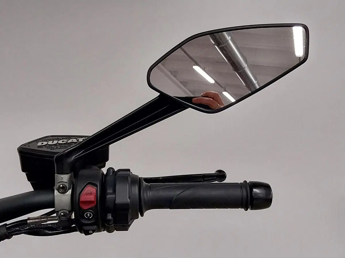 Ducati Diavel 1260 S (2019 - 20) (19)
