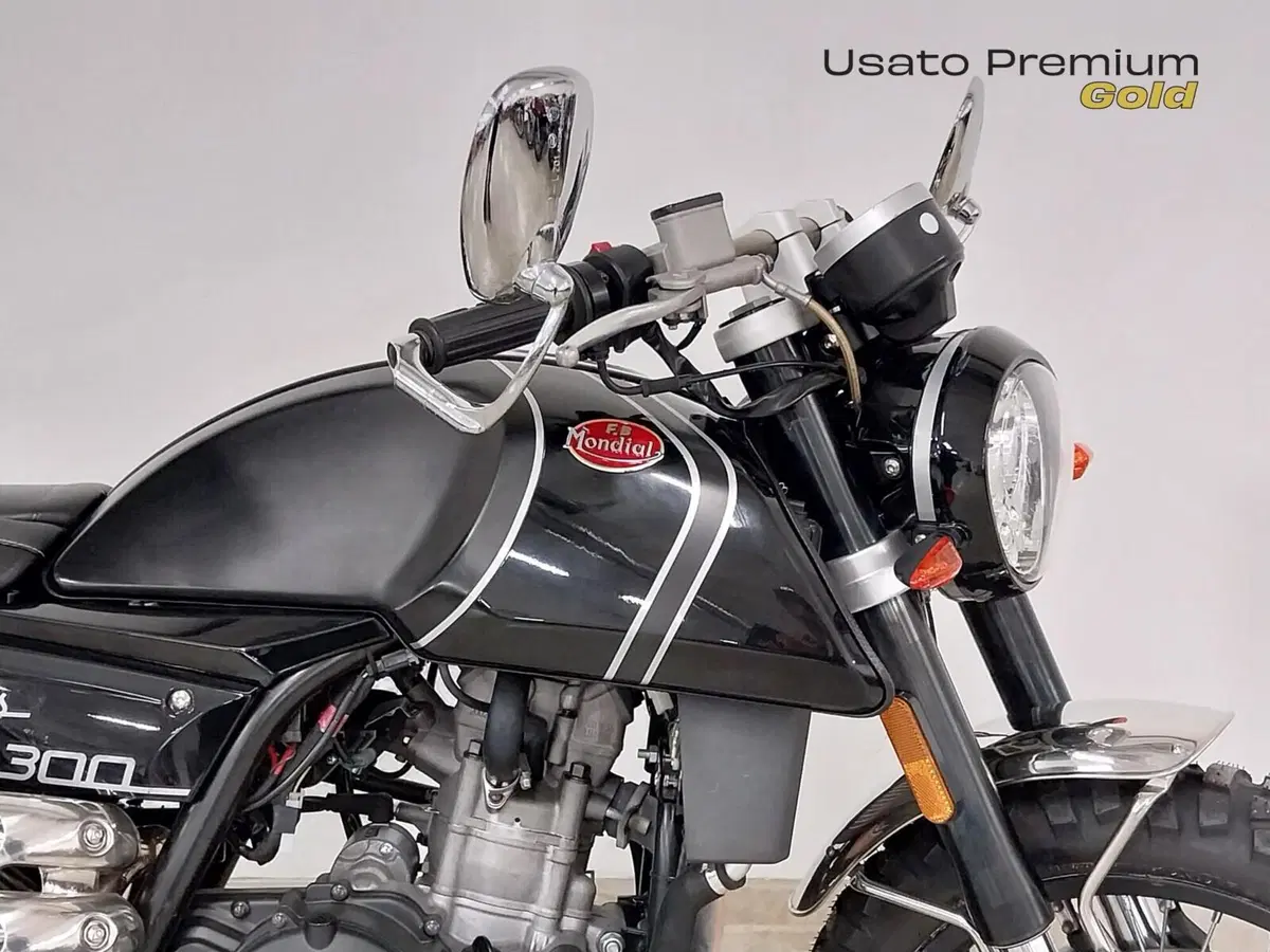 FB Mondial HPS 300 (2020 - 21) (9)