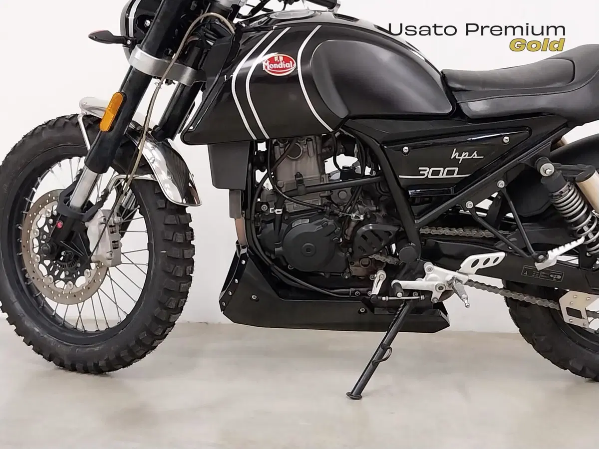 FB Mondial HPS 300 (2020 - 21) (13)