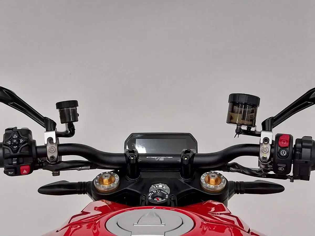 Ducati Streetfighter V2 S (2025 - 26) (18)