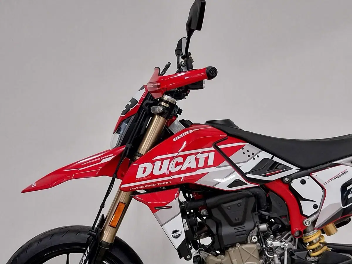 Ducati Hypermotard 698 Mono (2024 - 26) (14)