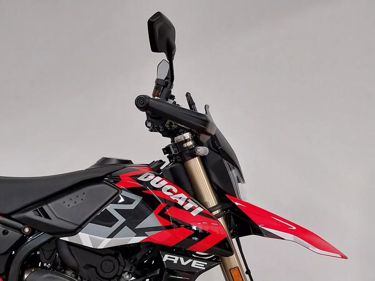 Ducati Hypermotard 698 Mono RVE (2024 - 26) (8)