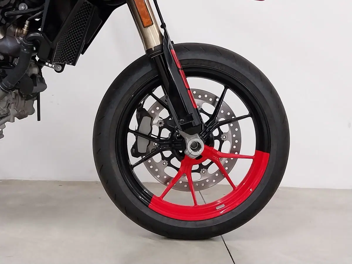 Ducati Hypermotard 698 Mono RVE (2024 - 26) (13)