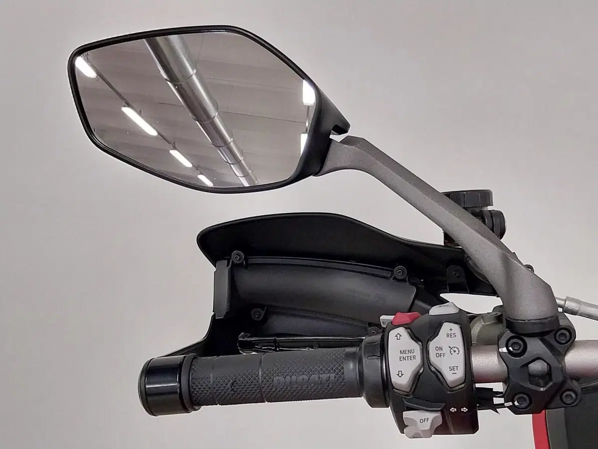 Ducati Multistrada 1260 Enduro (2019 - 21) (17)