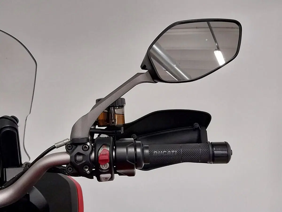 Ducati Multistrada 1260 Enduro (2019 - 21) (18)