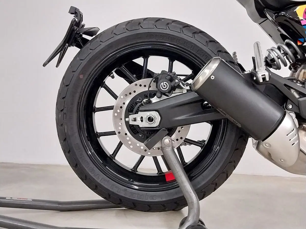 Ducati Scrambler 800 Icon (2023 - 24) (7)