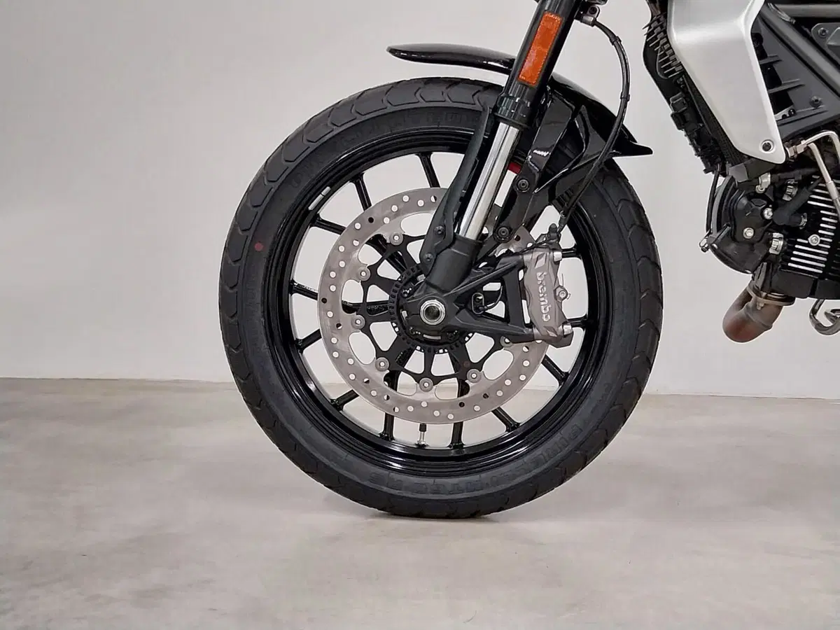 Ducati Scrambler 800 Icon (2023 - 24) (12)