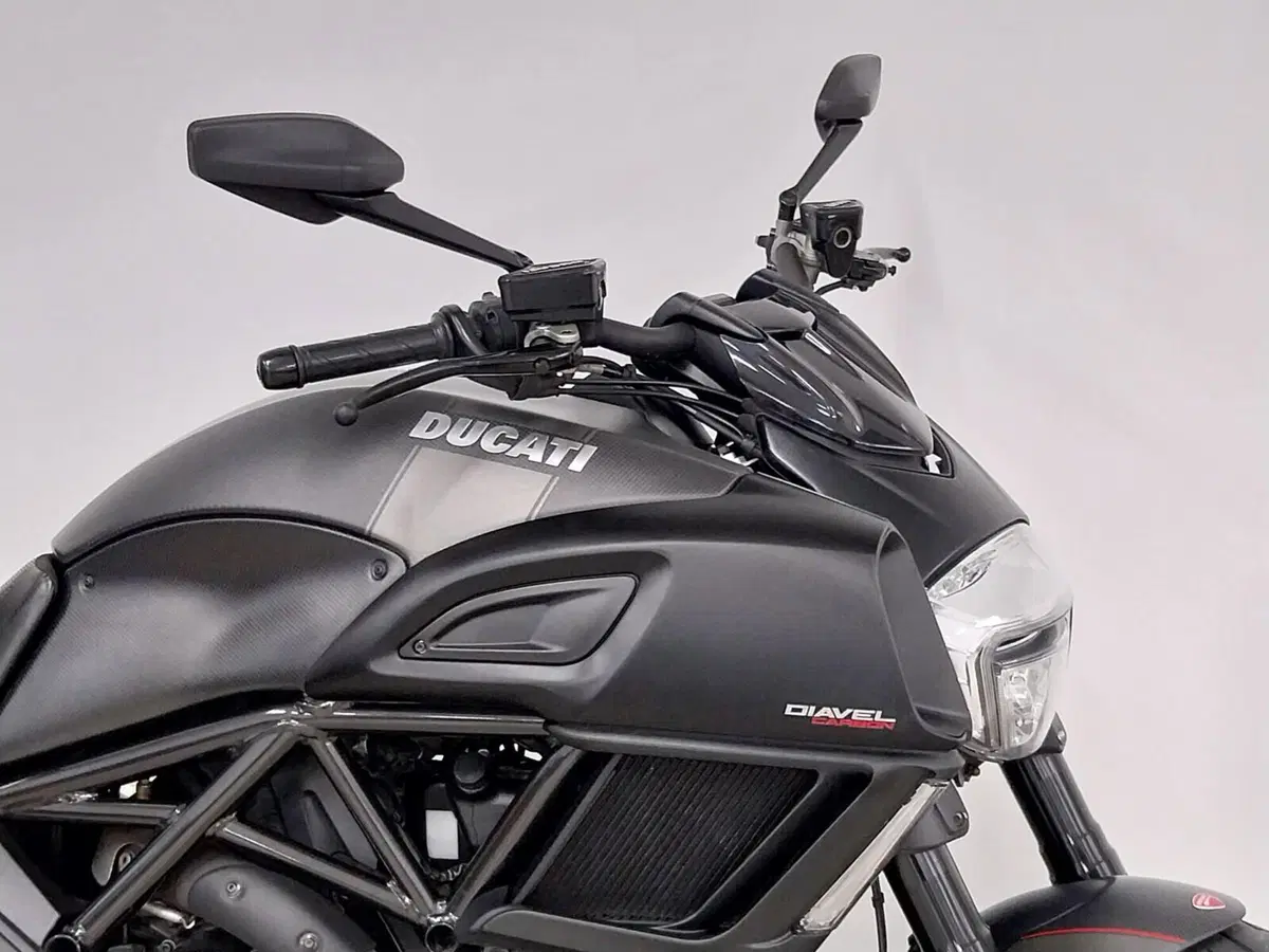 Ducati Diavel 1200 Carbon (2014 - 16) (10)