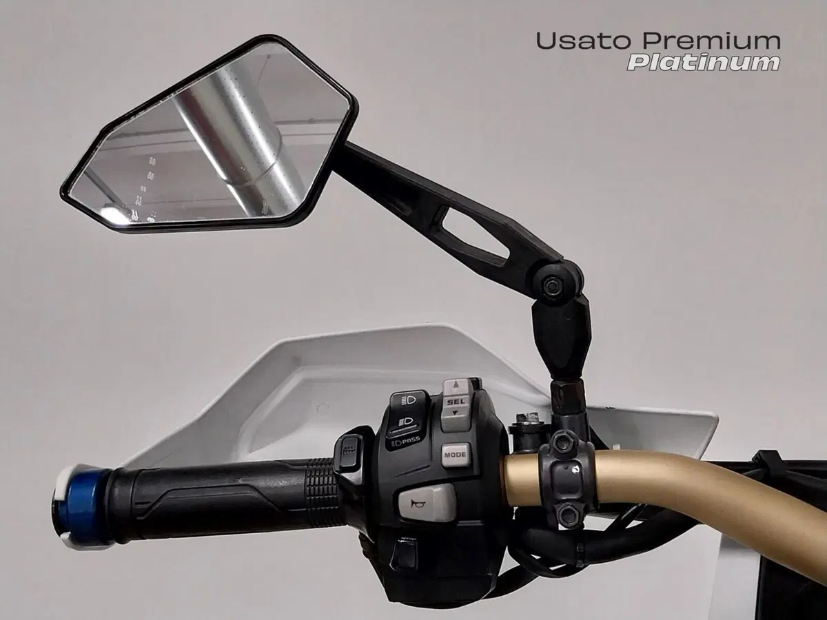 Honda Africa Twin CRF 1000L Adventure Sports (2018 - 19) (17)