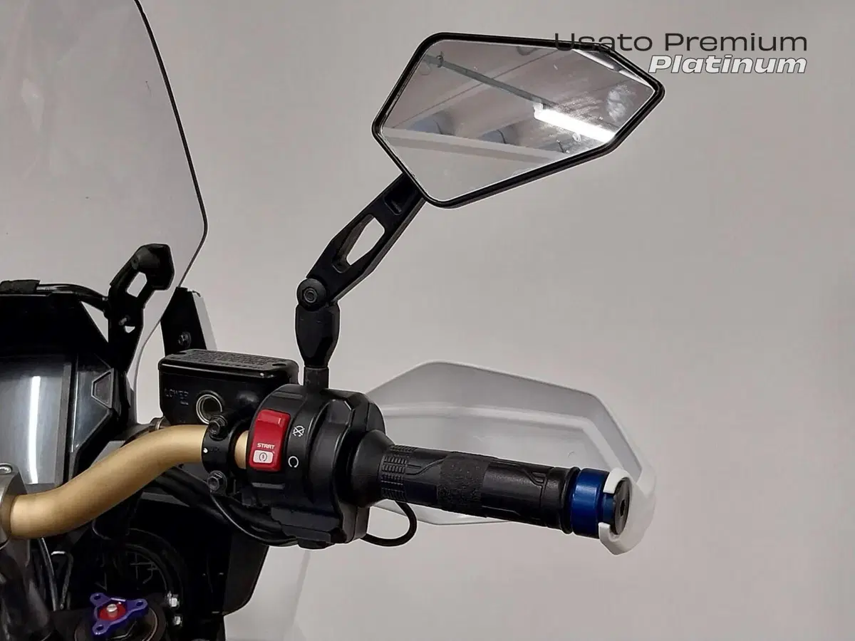 Honda Africa Twin CRF 1000L Adventure Sports (2018 - 19) (19)