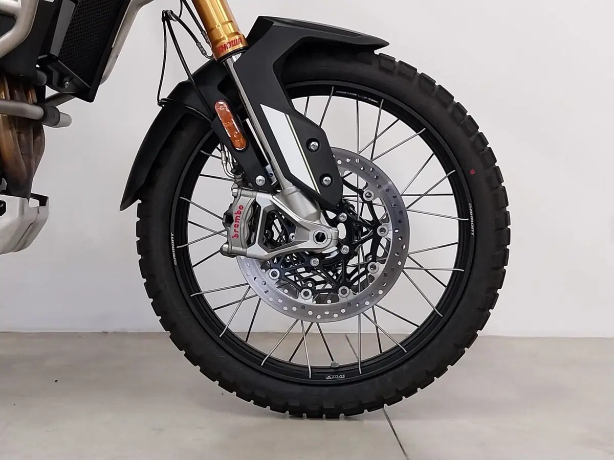Triumph Tiger 900 GT Aragón Edition (2023 - 24) (13)