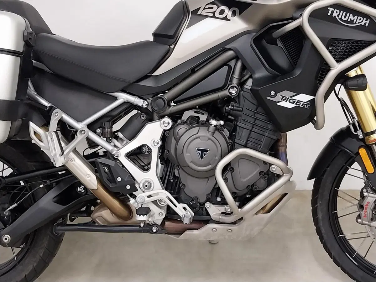 Triumph Tiger 1200 Rally Pro (2024 - 26) (8)