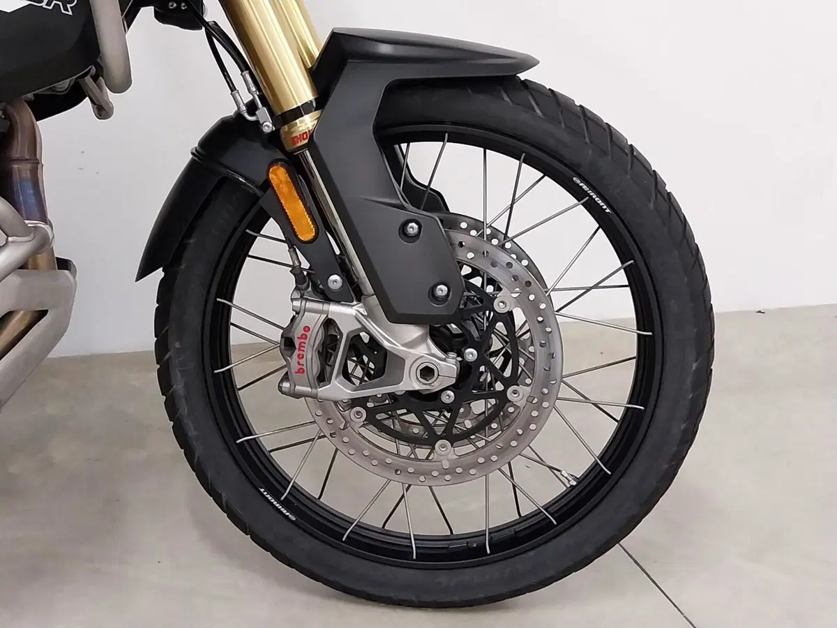 Triumph Tiger 1200 Rally Pro (2024 - 26) (10)