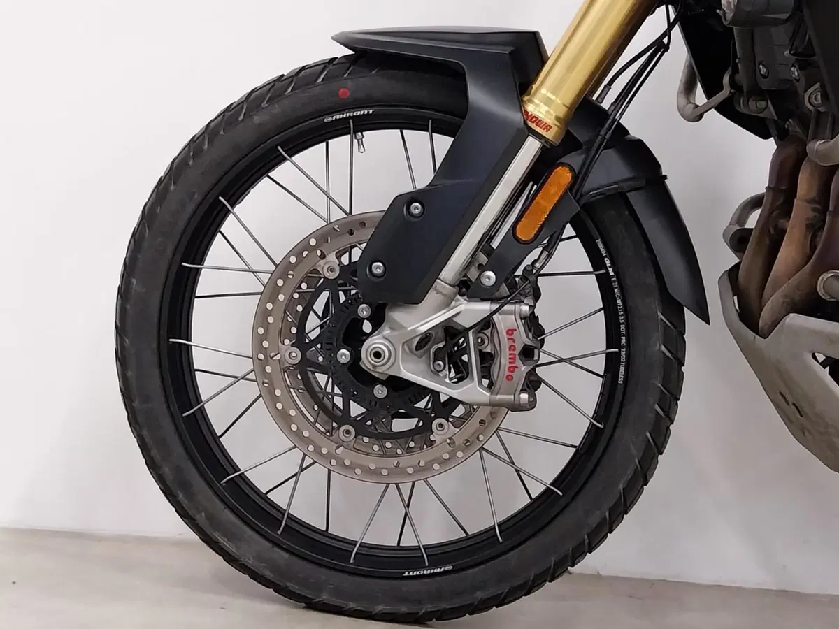 Triumph Tiger 1200 Rally Pro (2024 - 26) (11)
