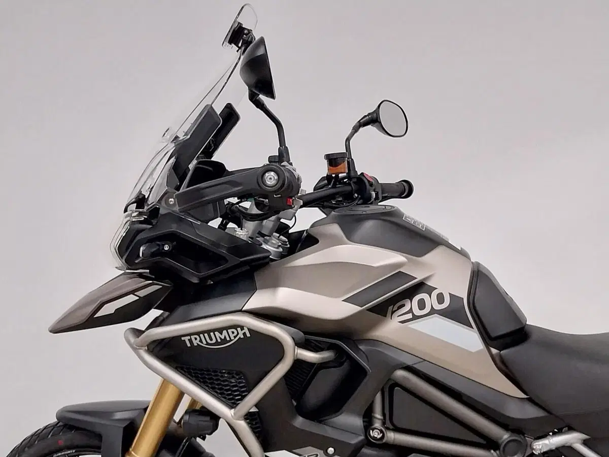 Triumph Tiger 1200 Rally Pro (2024 - 26) (12)