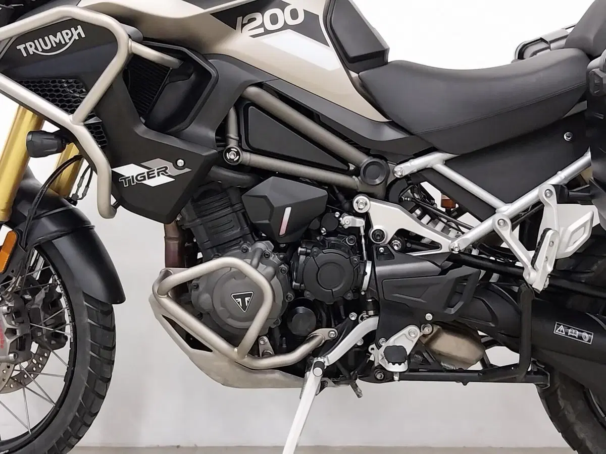 Triumph Tiger 1200 Rally Pro (2024 - 26) (13)
