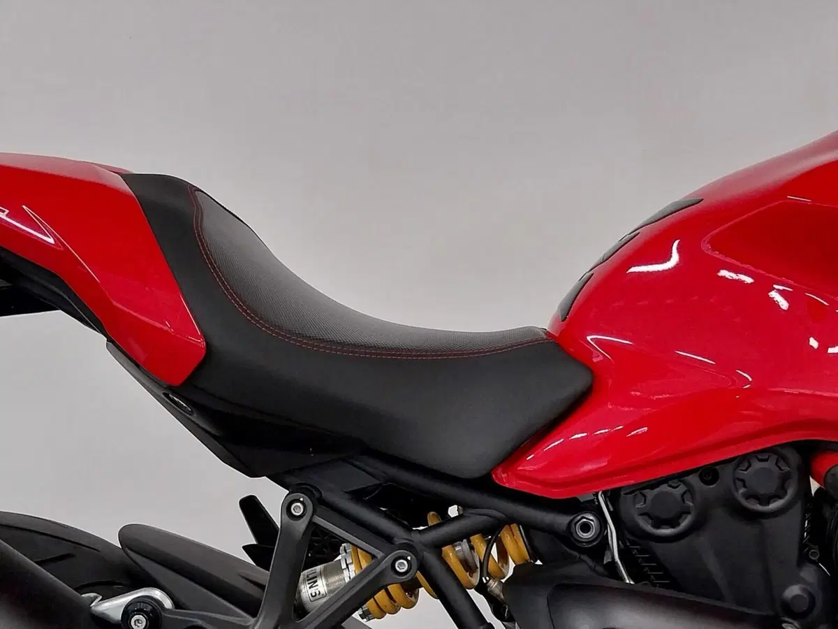 Ducati Monster 1200 (2017 - 21) (7)