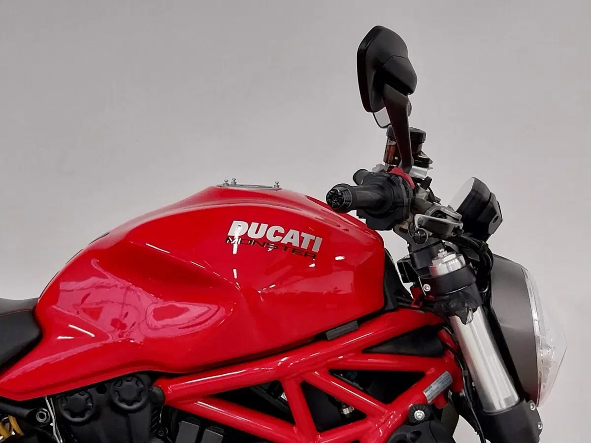 Ducati Monster 1200 (2017 - 21) (8)